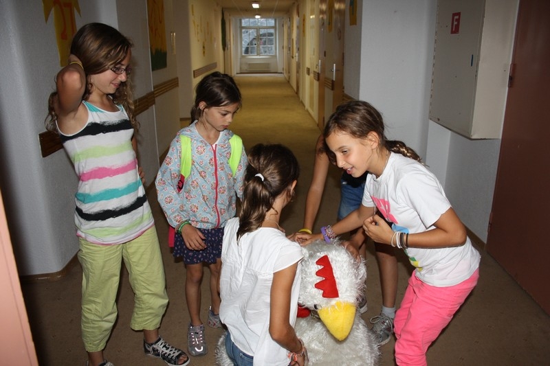 Village Camps International Summer Camp Leysin, Switzerland 2026-08-15 https://www.villagecamps.com/journals_admin/images/699-34-petting zoo (108).jpg